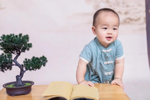 伊犁哈萨克可爱的企鹅宝宝